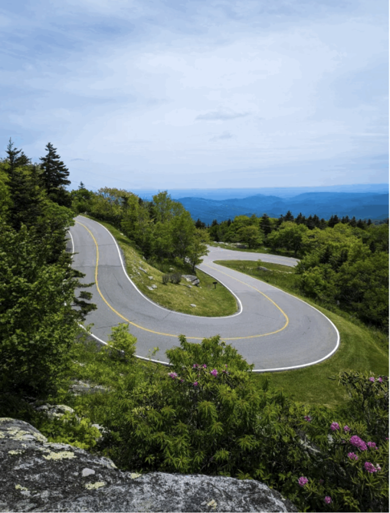 winding road surrounded by wildflowers in Boone, North Carolina
