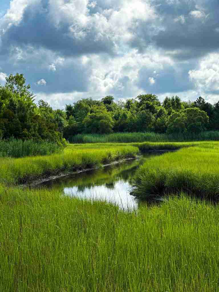 a view of the waterways surrounded by marsh at Paradise Creek Park 