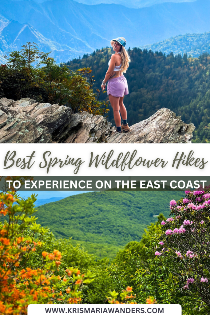 here are the best wildflower hikes to take on the east coast this spring
