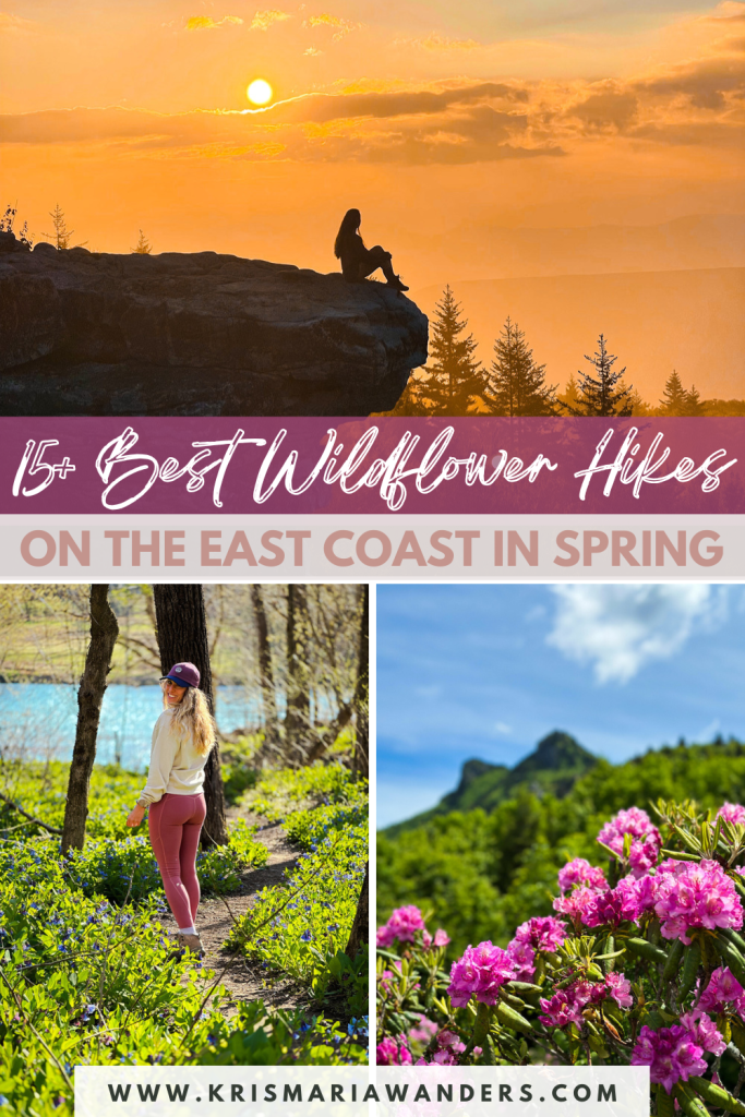 15 best spring wildflower hikes on the east coast
