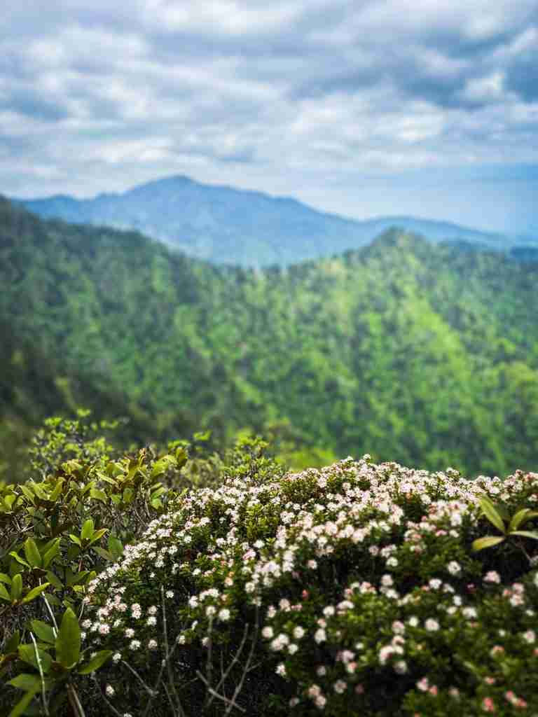 Grandfather Mountain is considered to be one of the best spring hikes on the East Coast